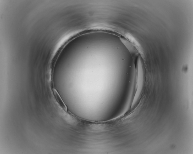 X0000090491376200707272331