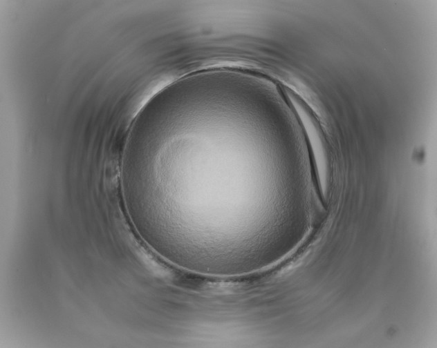 X0000090491377200707272331