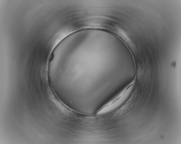 X0000090491378200707272331