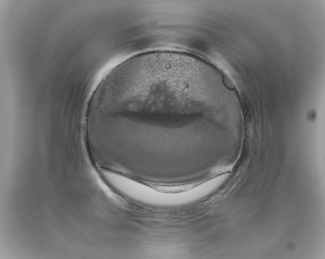 X0000090491379200707272331