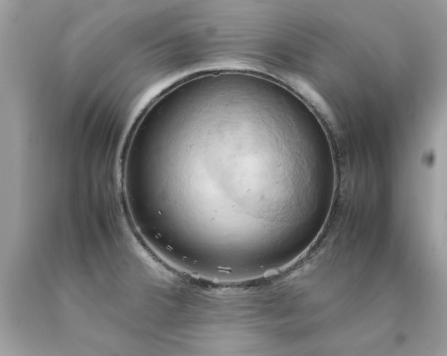 X0000090491380200707272331