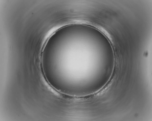 X0000090491381200707272331