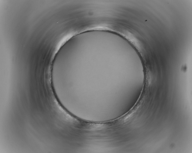 X0000090491382200707272331