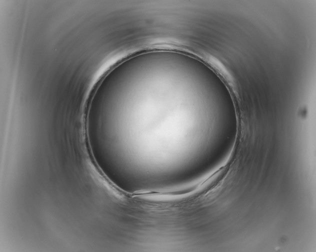 X0000090491384200707272331