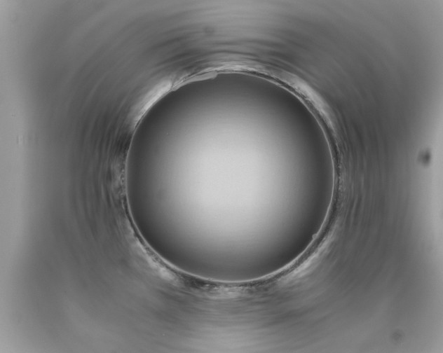 X0000090491385200707272331