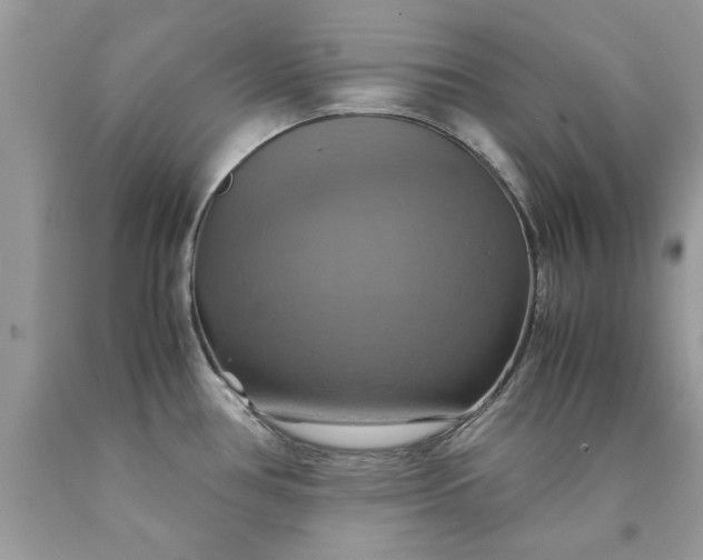 X0000090491386200707272331
