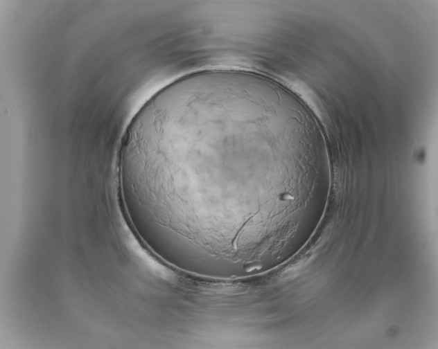 X0000090491387200707272331