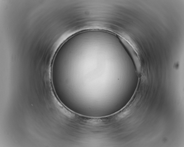 X0000090491388200707272331