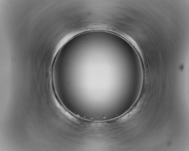 X0000090491389200707272331