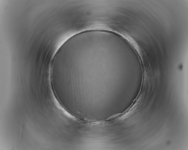 X0000090491390200707272331