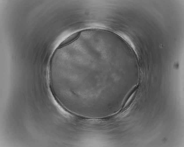 X0000090491391200707272331