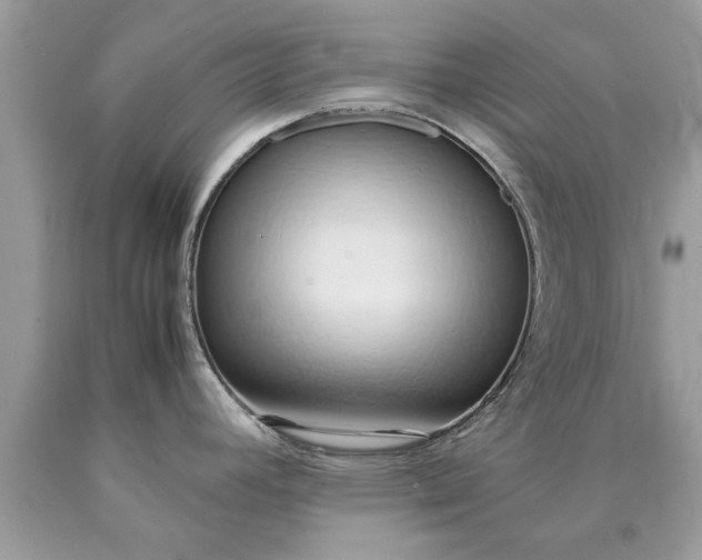 X0000090491392200707272331