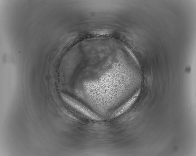 X0000090491393200707272330