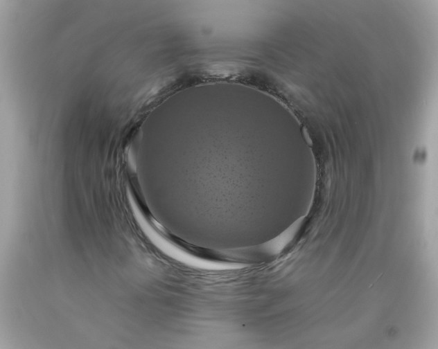 X0000090491394200707272330