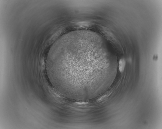 X0000090491395200707272330