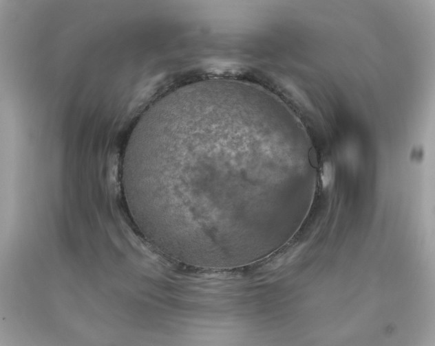 X0000090491396200707272330