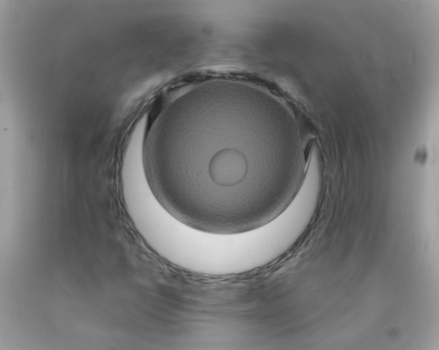 X0000090491398200707272330