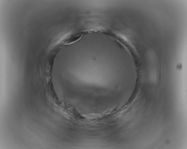 X0000090491399200707272330