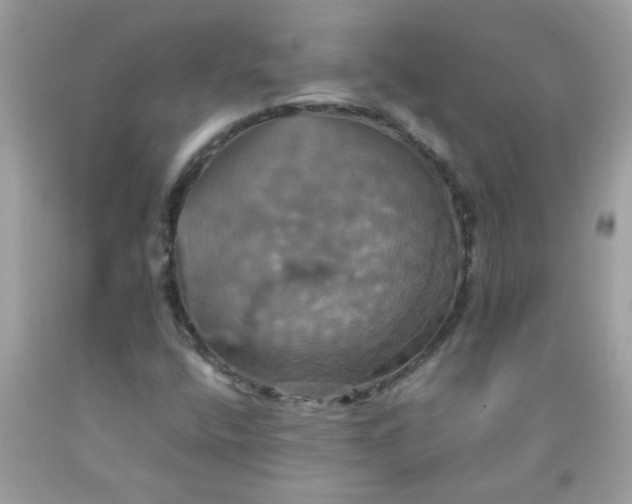 X0000090491400200707272330