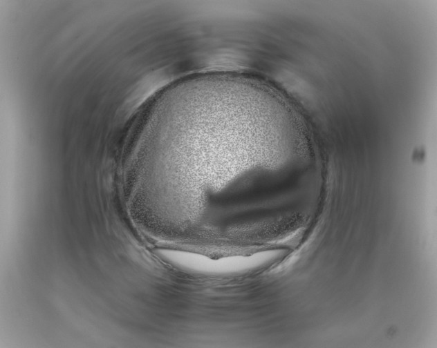 X0000090491401200707272330