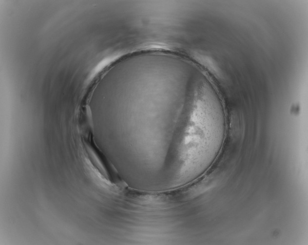X0000090491404200707272331