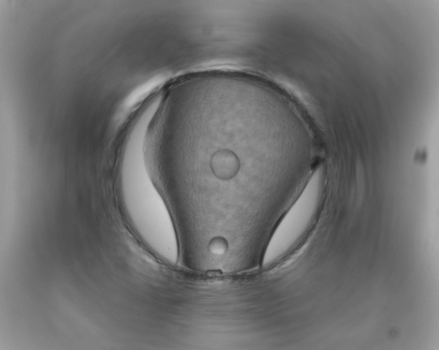 X0000090491406200707272331