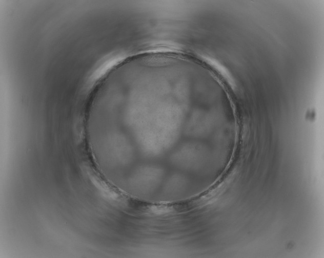 X0000090491407200707272331
