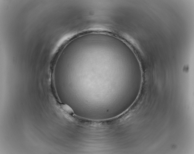 X0000090491408200707272331