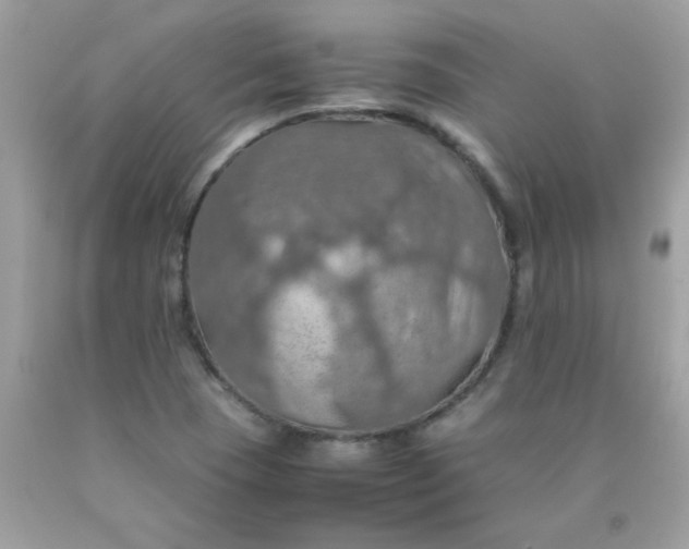 X0000090491409200707272331
