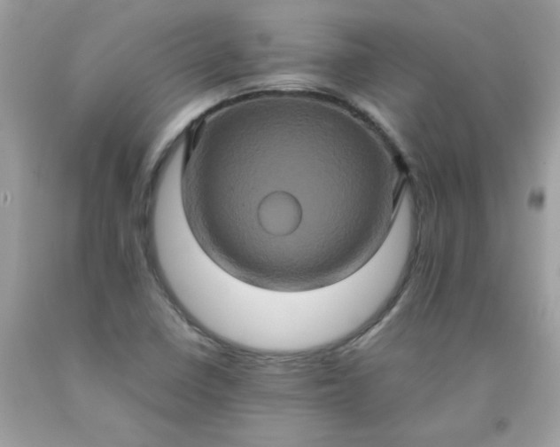 X0000090491410200707272331