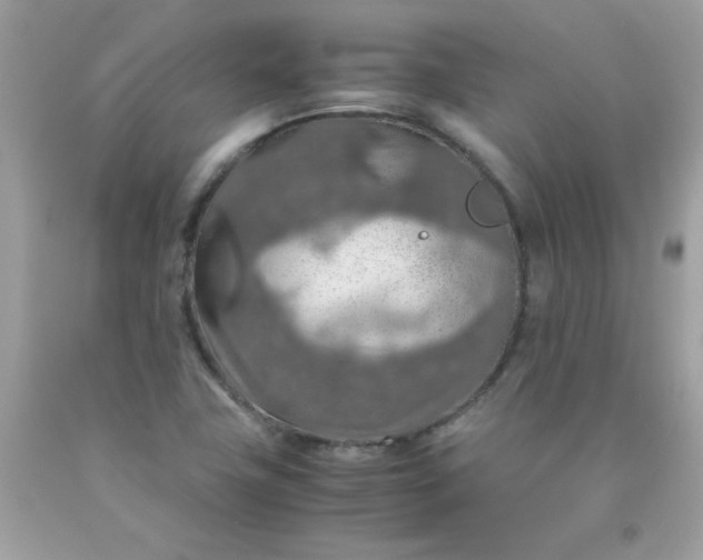 X0000090491411200707272331