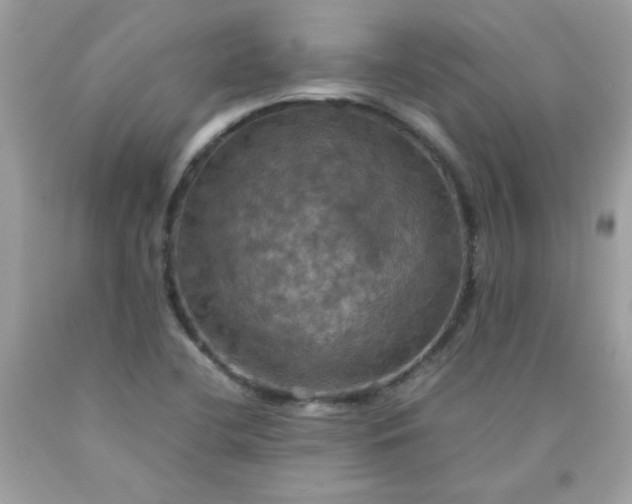 X0000090491412200707272331