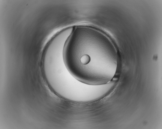 X0000090491414200707272331