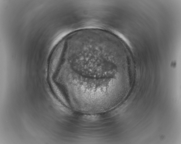 X0000090491415200707272331