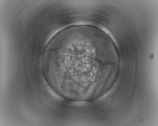 X0000090491417200707272331