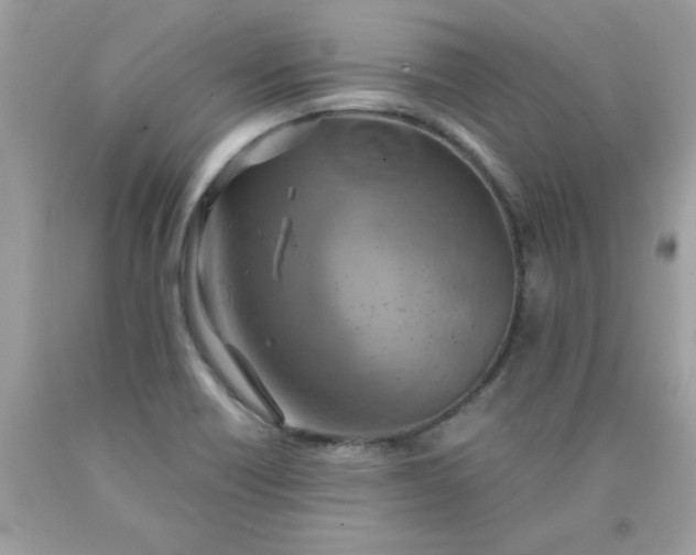 X0000090491418200707272331
