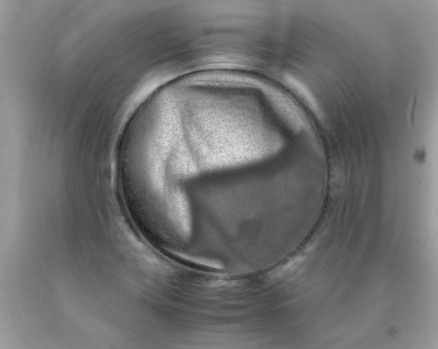 X0000090491419200707272331