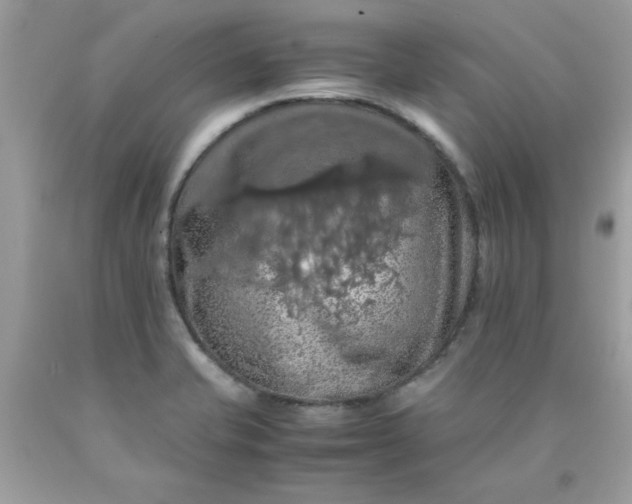 X0000090491421200707272331