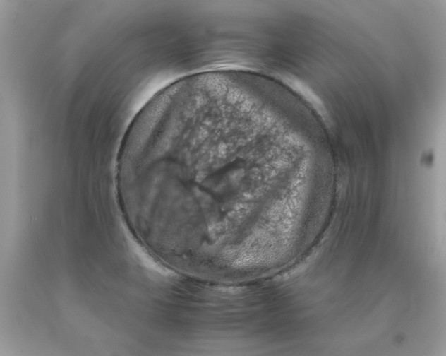X0000090491423200707272331