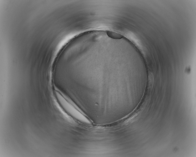 X0000090491424200707272331