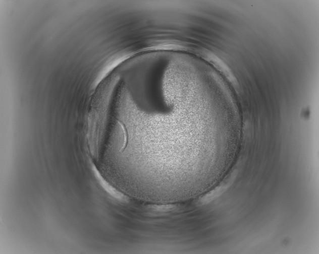 X0000090491425200707272331