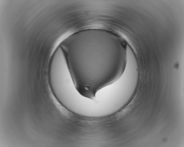 X0000090491426200707272331
