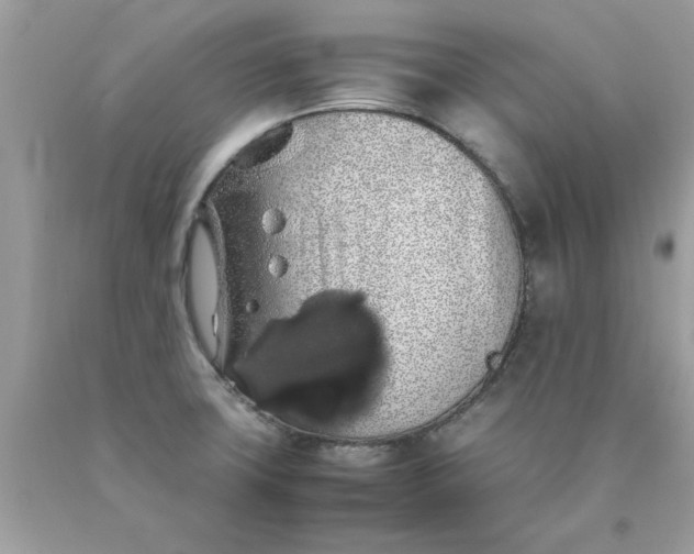 X0000090491427200707272331