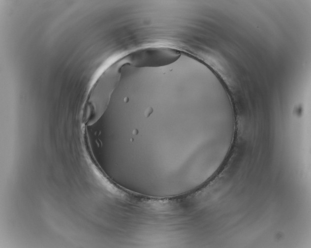 X0000090491428200707272331