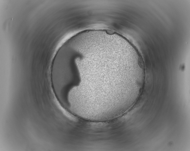 X0000090491429200707272331