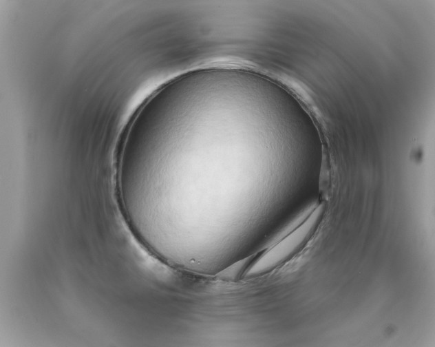 X0000090491430200707272331