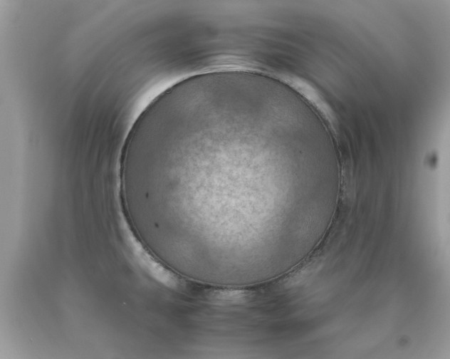 X0000090491431200707272331