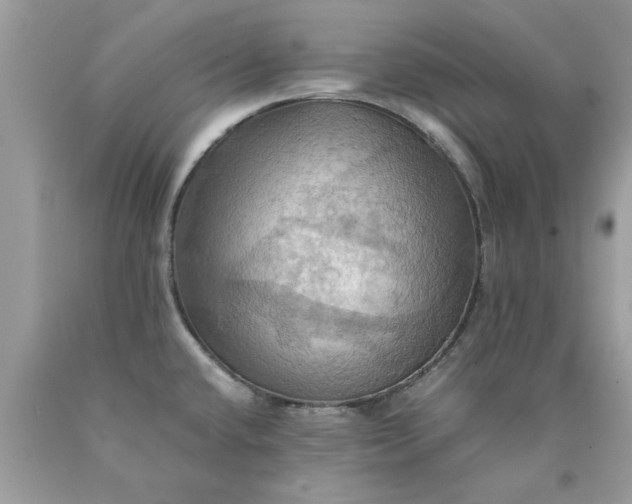 X0000090491432200707272331