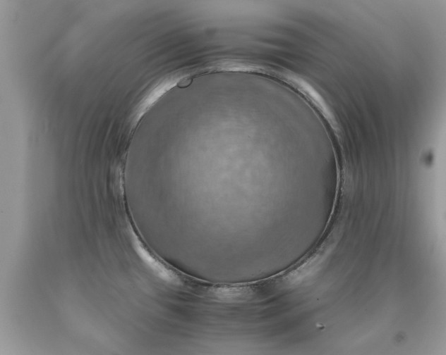 X0000090491433200707272331