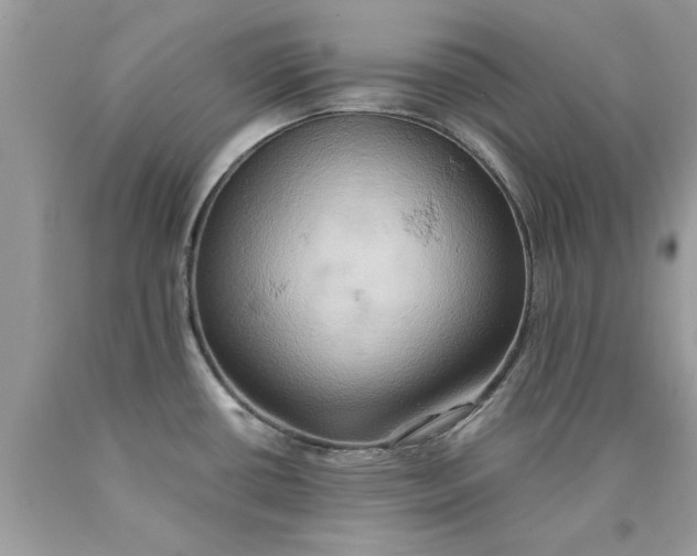 X0000090491434200707272331
